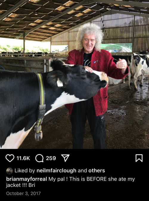 Brian May Being His Wonderful Self On Instagram: Highlights