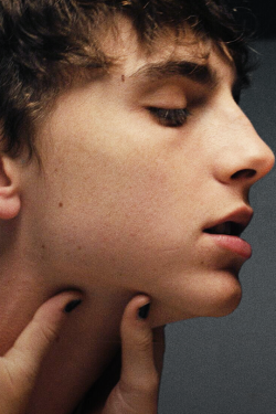 lennydi:  💋 timothée chalamet 💋 as