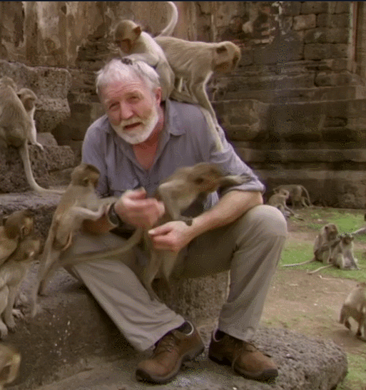 bigmenoftvandfilm: George McGavin bulge in Monkey Planet, s1e02 In the final hours of tumblr, I&rsqu