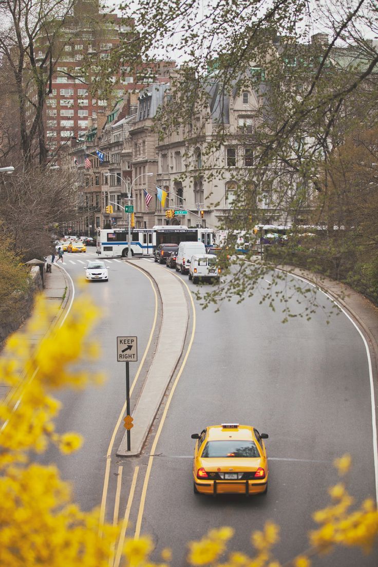 missharpersworld:  beautflstranger:  early spring nyc: we could go downstairs for