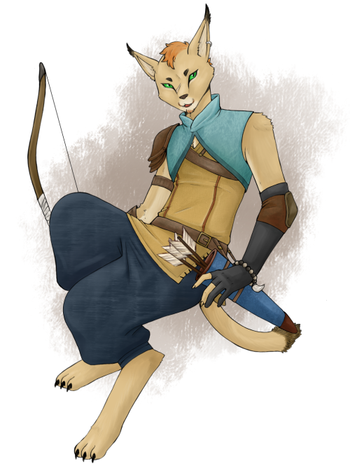 dnd tabaxi catboi time