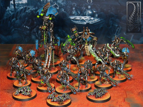  You can find these wonderful Necrons of the Nihilakh Dynasty on our Ebay page. If you buy several l