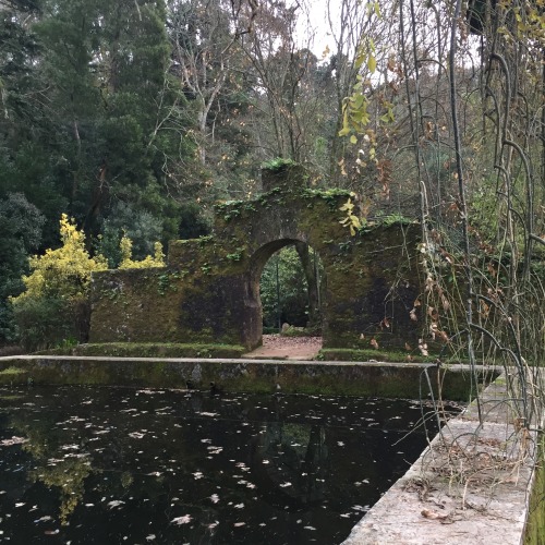 Stepped into a fairytale castle the other day&hellip;Bucaco Castle, Luso, Portugal 01.01.2017