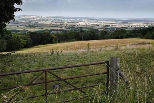 Day 1139 - looking over the gate to the Vale