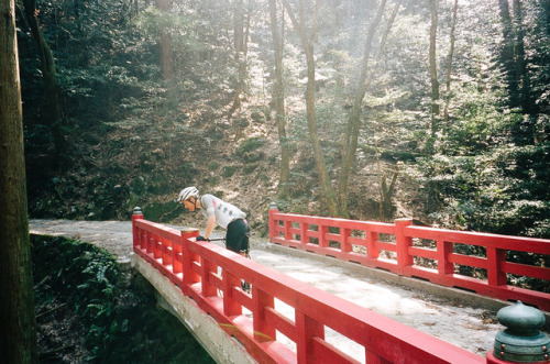 Exploring Nara Park,April 2017