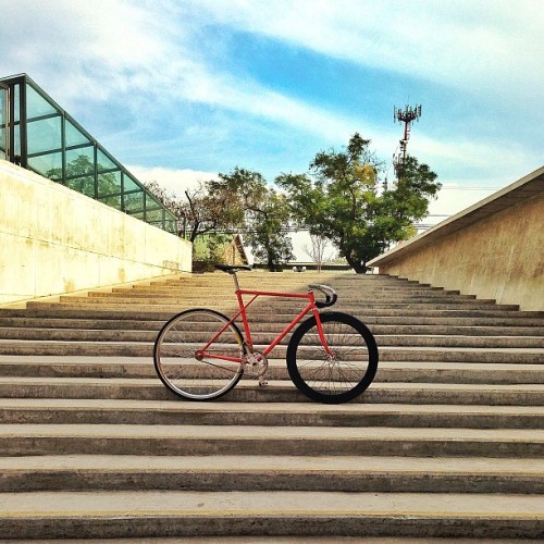 nitido-multidimensional: #fijo #fixed #fixie #fixedgear #fixiebike #fixieporn #fixedfaith #fixieshou