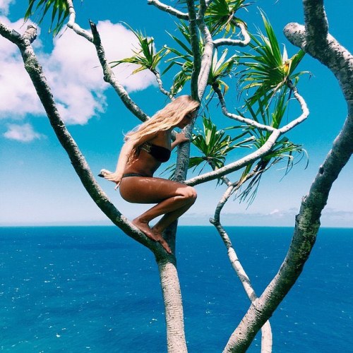 l-o-b-s-t-e-r: oceanmotions: tropical–mist: trpicl: cocoajungle: Follow for more tropical post