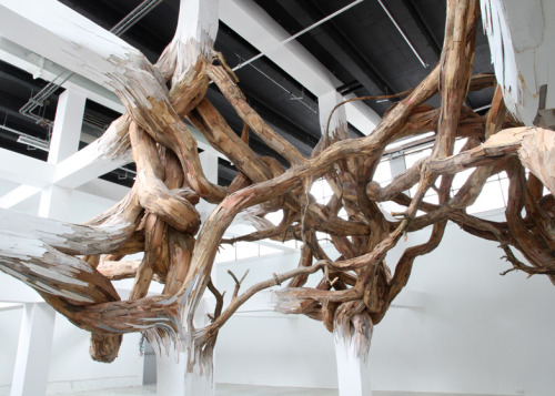 culturenlifestyle:  Twisted Tree Branch Installation by Henrique Oliveira Brazilian artist Henrique Oliveira’s installations often feature a spectacular presence of tree branches overpowering artifice. Titled Baitogogo, the sculpture  seems to be