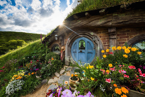 worlds-evolution:  The Real HobbitonHobbiton ToursMatamata, New Zealand is the location of the hobbit village that was built for the Lord of the Rings films. This pastoral, idyllic place now offers tours, something we’d definitely be up for, if we found