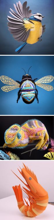whatjanesaw:Dazzling Three-Dimensional Paper Sculptures of Birds, Bees, and Crustaceans by Lisa Lloy