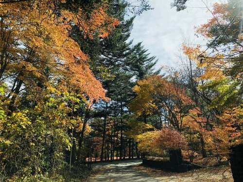 karuizawa