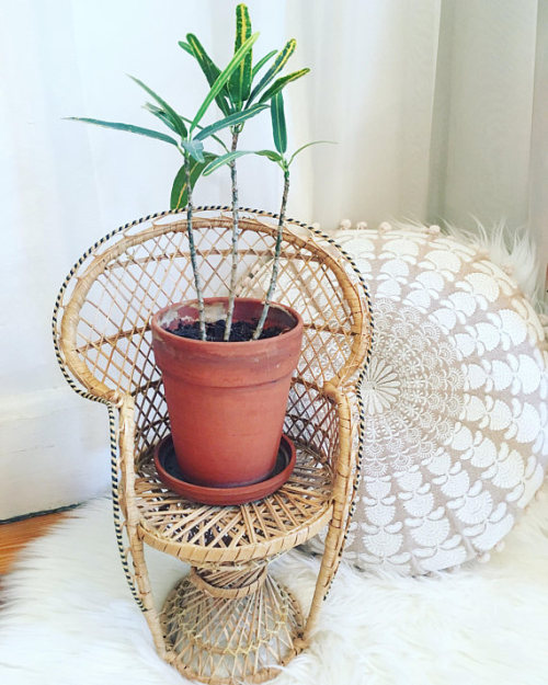 Wicker Chair Plant Stand //AdornbyAI