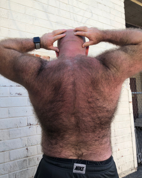 hairybacker: Hairy Back 35