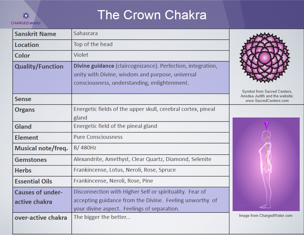 metanoia-world:  Major Chakras   A chakra is an spinning energy center that manages