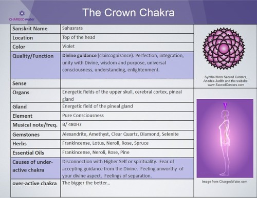 metanoia-world:  Major Chakras   A chakra porn pictures