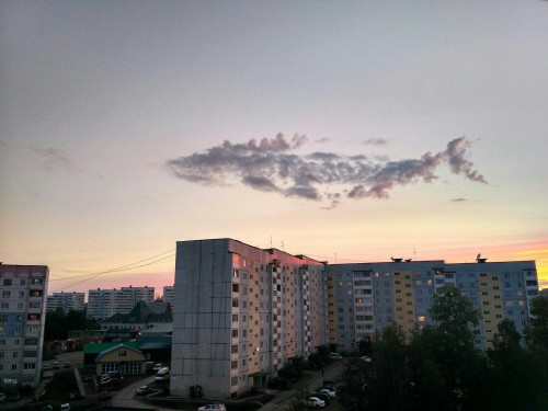 nellotone: forest-of-books: kingkilling-and-stormlight: SKY WHALE SKY WHALE SKY WHALE No. Look at th
