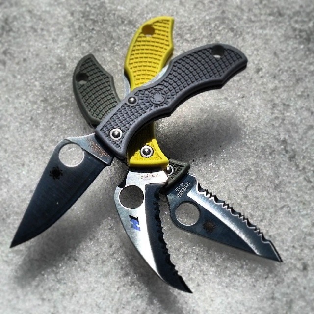 xceptnl:  A loveliness of coccinellidae spotted in the snow today #knife #edc #usnstagram