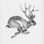 luckyjackalope