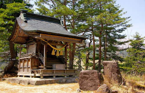 El santuari solitari / The lonely shrine