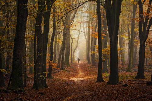 Porn enchanting-landscapes:  Encounters by Jeroen photos