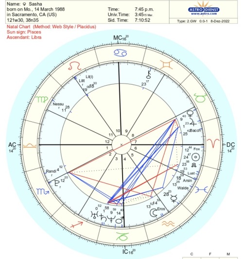 WHATS IN THE CHART OF AN ADULT MOVIE STAR?