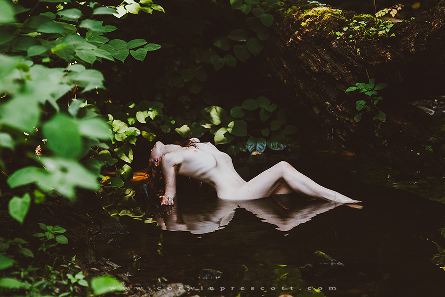 corwinprescott:    “Into the Wild”Philadelphia, Pa 2016Corwin Prescott - Liv