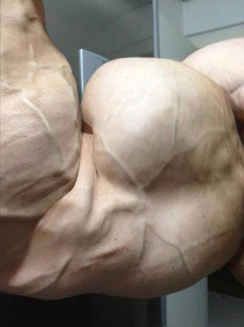 roidlover:Flex that roid-mutated arm