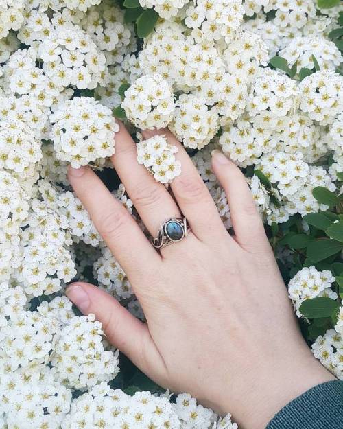 ladymantheniel:Magic whiteI love spring Na fotyk ako hodváb #whiteflowers#white #flowertherapy #flow