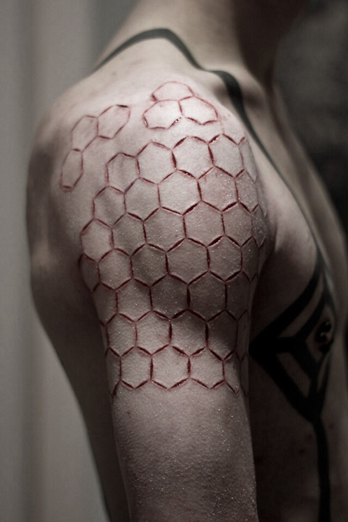tangtopmonkey:  sur We Heart It. 
