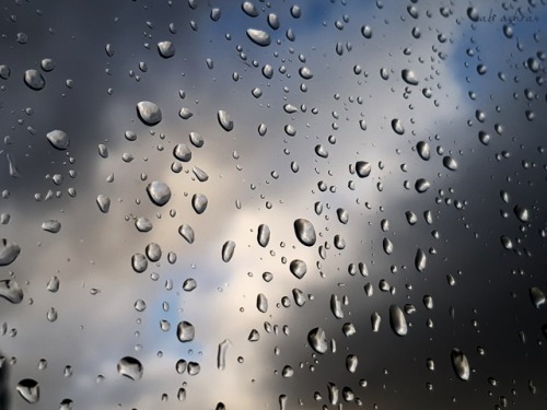 Rain Show by Abi Ashra (Tumblr)