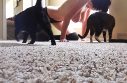 orgasmixx:Just three little kittens.