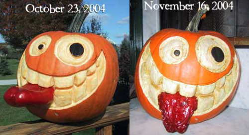 inksword:   The life and times of Pepper the pumpkin. 