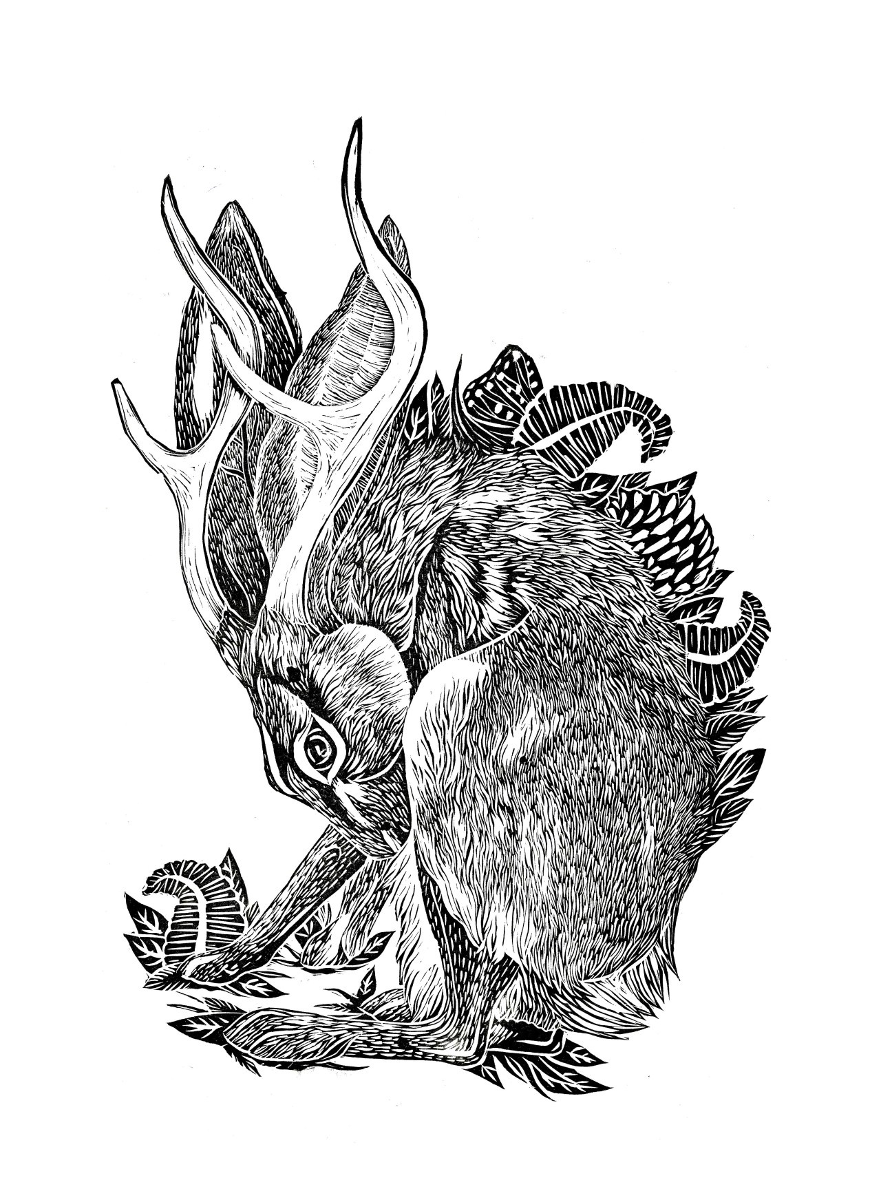 Original illustration Original illustration Jackalope