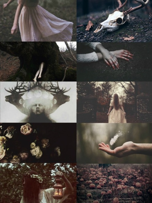 annthousai:Southern Gothic witches“Never put your faith in a Prince. When you require a miracle, trust in a Witch.” ― Catherynne M. Valente, In the Night Garden  