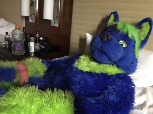 odinnsfw:Some pics from Sunday morning at MFF ;3