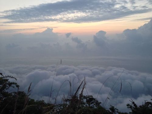 jacksachs:Sunrise from the top of mt. Emei Shan near chengdu Missing china a lot