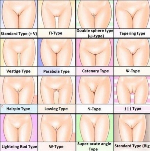 Porn Pics tag urself, I’m tapering type