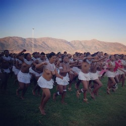   Swazi Reed Dancers,   Via Julie_Jammot