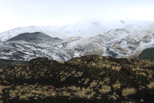 boschintegral-photo:Etna, Sicily, Italy