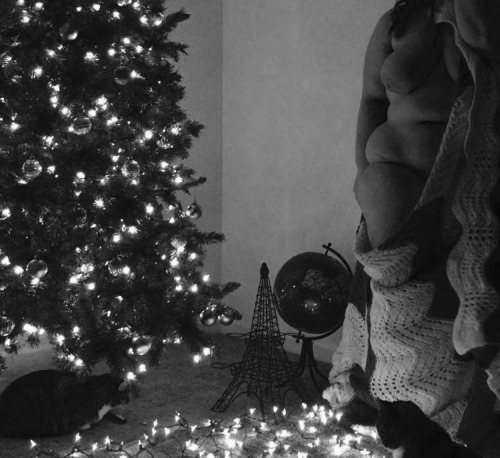 ox-miss-a:  December 2nd, 2015 Black & white & in front of the tree.