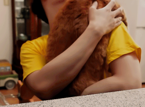 Minho + Cats For @jinniebit