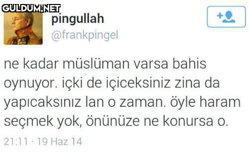 pingullah @frankpingel ne...