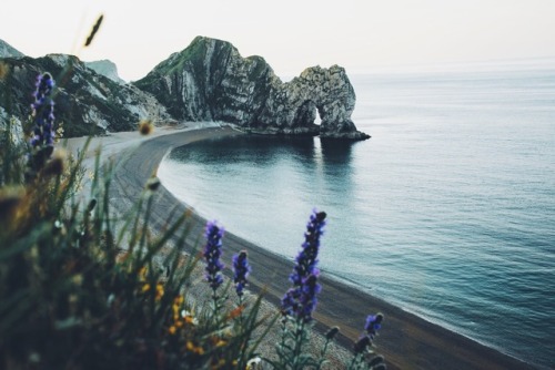 dpcphotography:Durdle Door, Jurassic Coast