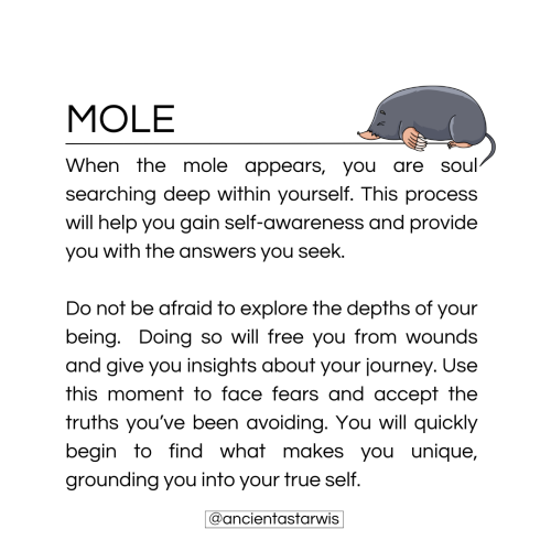 Mole Spirit Animal Guidance