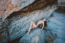 corwinprescott:    “Into the Wild”Botany Bay National Park, Australia 2016Corwin Prescott - Floofie - Full series on Patreon   