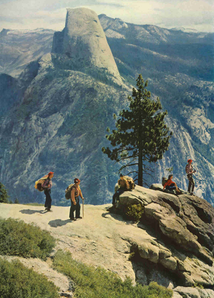 distingvished:  p-usillanimous:  farther-feelings:  vintage &amp; nature   Send