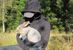 prolescaryat:  20 rabbits liberated from meat farm On the night to the 1st of October, 20 rabbits were liberated from Runbergs rabbit farm outside Alunda, Sweden. All the rabbits have been rehomed in new loving and caring homes.  Runbergs rabbit farm