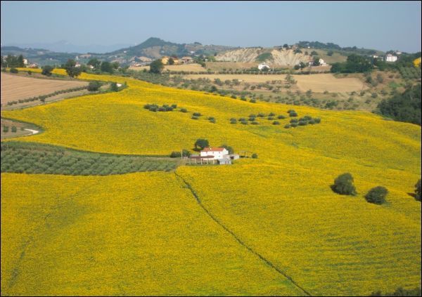 tepitome:  So, I was looking online for houses in Italy, and I came across this place