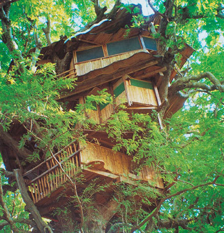 Treehouse Living: 4 Custom, Eco-friendly Options Have you ever considered living in a treehouse? The
