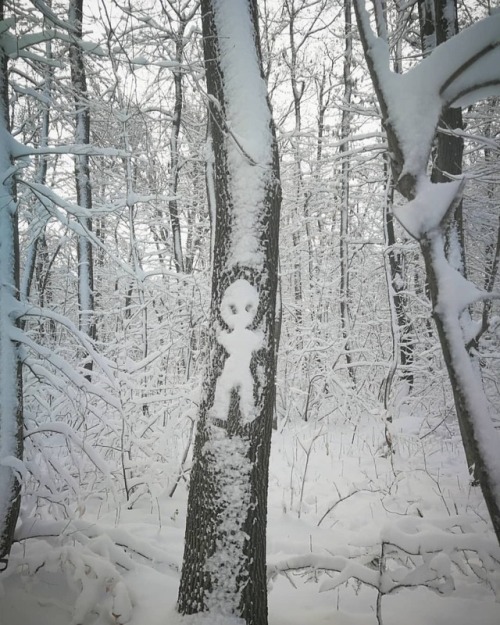 #winter #whatisthis #snow #forestsoul #forestspirit #wintertrees #alien #forest #nature #frozen #col